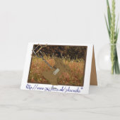 特別犬 カード (裏面)