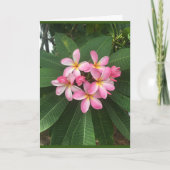 *特別誕生日*の場合 カード (正面)