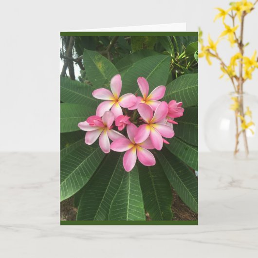 *特別誕生日*の場合 カード (黄色い花)