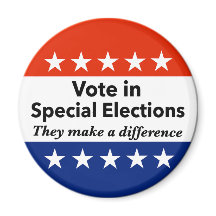 特別選挙の投票