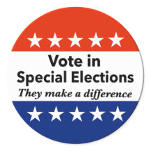 特別選挙の投票