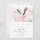 特別配達ストークガールベイビーシャワー 招待状 (正面)