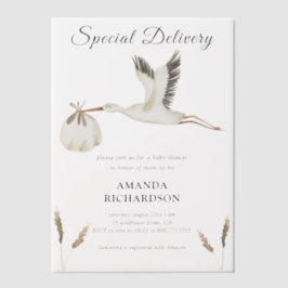 特別配達水カラーストーク赤ちゃんシャワー ベラム紙招待状