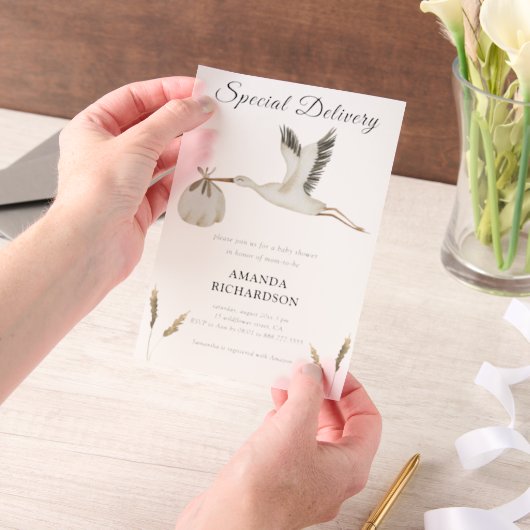 特別配達水カラーストーク赤ちゃんシャワー ベラム紙招待状 (ポータブル)