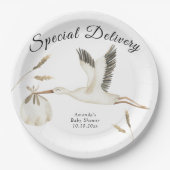 特別配達水カラーストーク赤ちゃんシャワー ペーパープレート (正面)