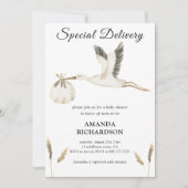 特別配達水カラーストーク赤ちゃんシャワー 招待状 (正面)