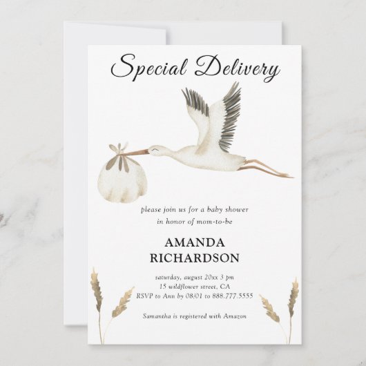 特別配達水カラーストーク赤ちゃんシャワー 招待状 (正面)