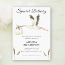 特別配達水カラーストーク赤ちゃんシャワー