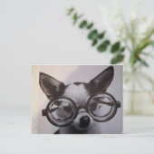 特大メガネをかけたかわいい犬 ポストカード (スタンド正面)