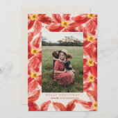 特大赤いポインセチアの写真クリスマスカード 招待状 (正面/裏面)