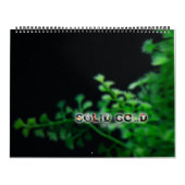 特大2016年の純金の金魚のカレンダー カレンダー (カバー)