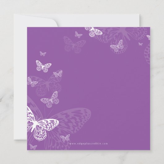 特殊イベント招待状::蝶3SQ 招待状 (裏面)