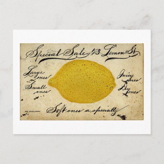 特殊レモン–1897 ポストカード (正面)
