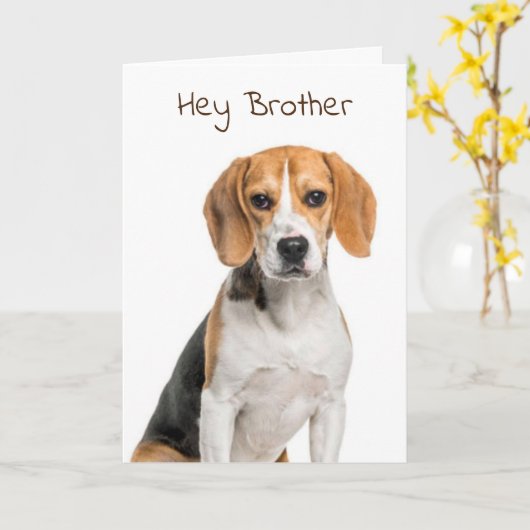 特殊兄弟用誕生日 カード (黄色い花)