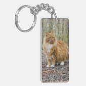 特殊子猫ネモキーチェーン キーホルダー (正面左)