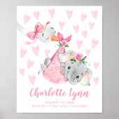 特殊配信ストークゾウベビー誕生統計 ポスター (正面)