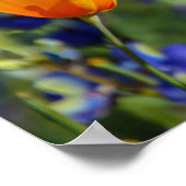 特殊 ポスター (角)