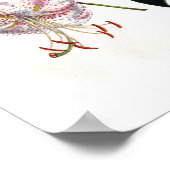 特産リリウム ポスター (角)