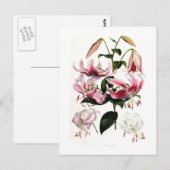 特産リリウム ポストカード (正面/裏面)