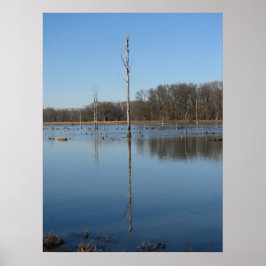 特異反射 ポスター