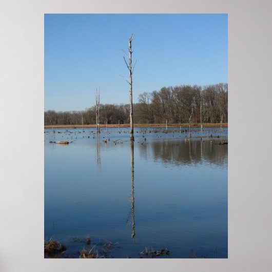 特異反射 ポスター (正面)