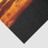 犠牲ティッシュペーパー 薄葉紙 (詳細)