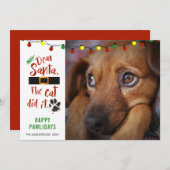 犬おもしろいいけな写真SANTA親愛 THE CATがやった シーズンカード (正面/裏面)
