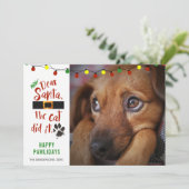 犬おもしろいいけな写真SANTA親愛 THE CATがやった シーズンカード (スタンド正面)
