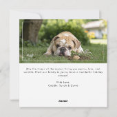 犬おもしろいのクリスマいけなスアーチ写真を定義 シーズンカード (裏面)