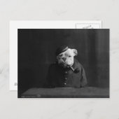 犬おもしろいのヴィンテージ写真 ポストカード (正面/裏面)