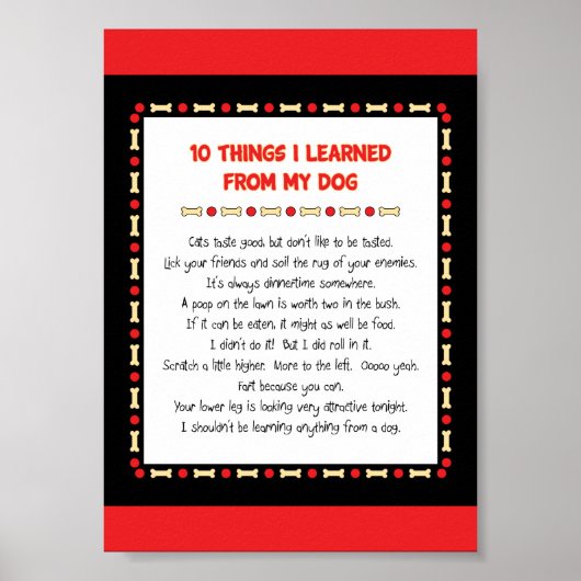 犬おもしろいの学出し物 ポスター (正面)