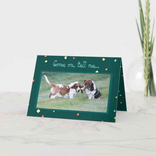 「犬おもしろいの年」誕生日カードBasset Hounds カード (正面)