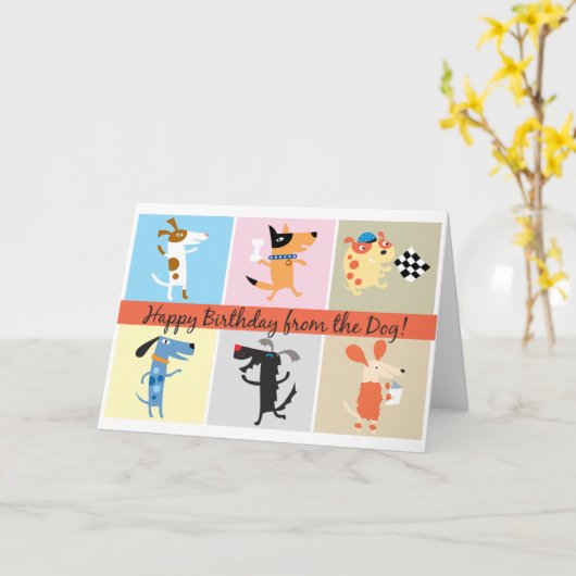 犬おもしろいの誕生日カード カード (黄色い花)