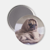 犬おもしろいの マグネット (正面/裏面)