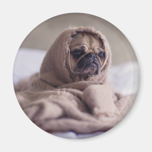 犬おもしろいの マグネット (正面)