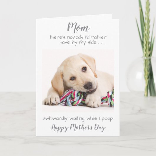 犬おもしろいパーソナライズされた母ペットフォトマザーズ・デイ シーズンカード (正面)