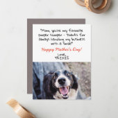 犬おもしろい母の日のカードから可愛い ノートカード (正面/裏面インサイチュ)