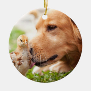 犬およびひよこ セラミックオーナメント