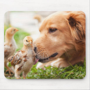 犬およびひよこ マウスパッド