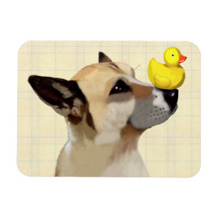 犬およびアヒル マグネット