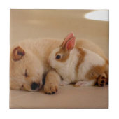 犬およびウサギ タイル (正面)