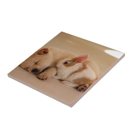 犬およびウサギ タイル (側面)