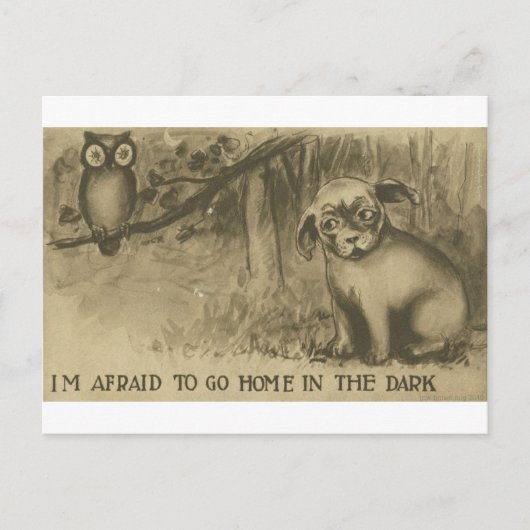 犬およびフクロウ ポストカード (正面)