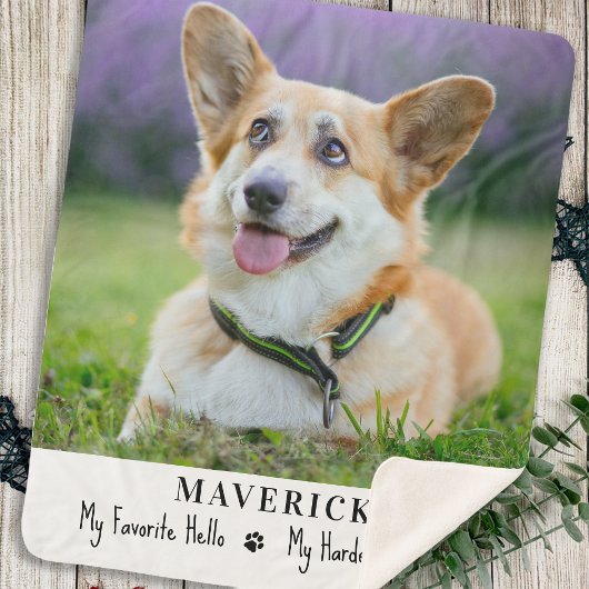 犬お気に入りのハローハードバイペットの写真 シェルパブランケット