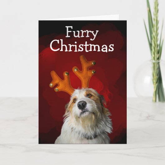 犬からのクリスマスカード サンキューカード (正面)