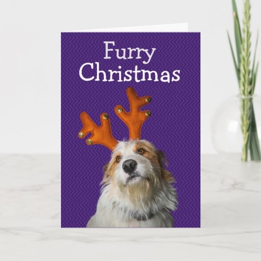 犬からのクリスマスメッセージ サンキューカード (正面)