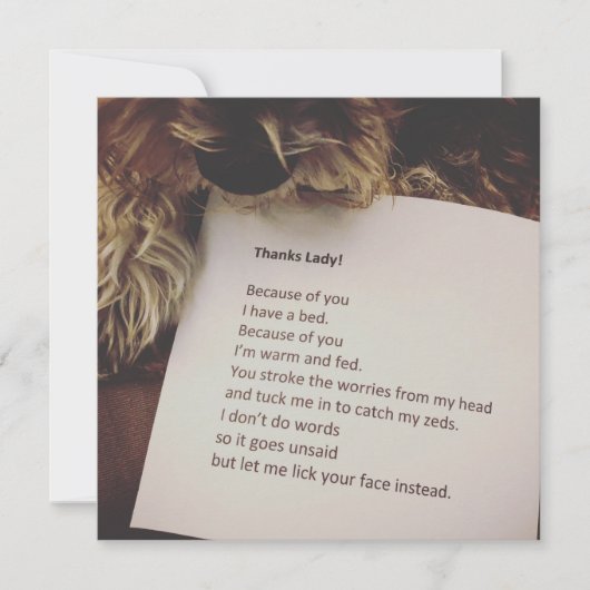 犬からのサンキューカード カード (正面)