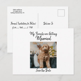 犬からのシンプルな結婚式の予告 案内ポストカード