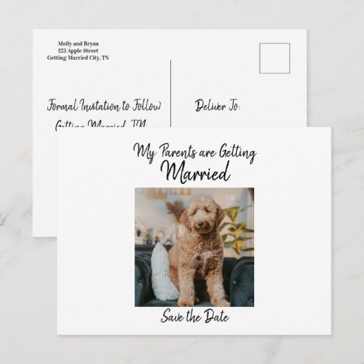 犬からのシンプルな結婚式の予告 案内ポストカード (正面/裏面)
