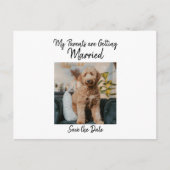 犬からのシンプルな結婚式の予告 案内ポストカード (正面)